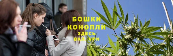 PSILOCYBIN Балабаново