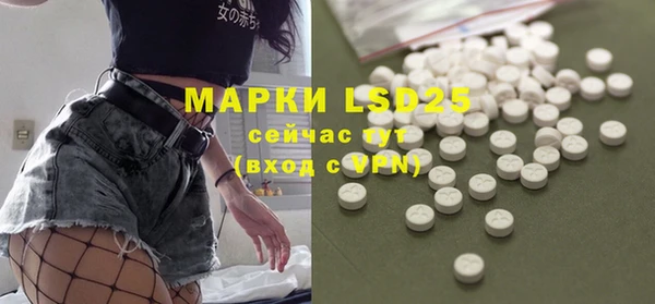 PSILOCYBIN Балабаново