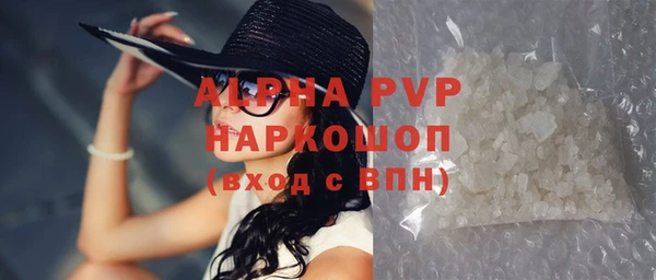 PSILOCYBIN Балабаново