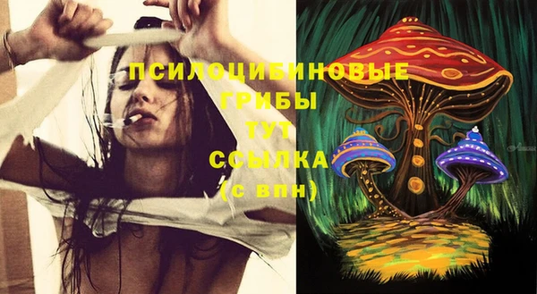 PSILOCYBIN Балабаново