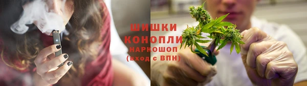 PSILOCYBIN Балабаново